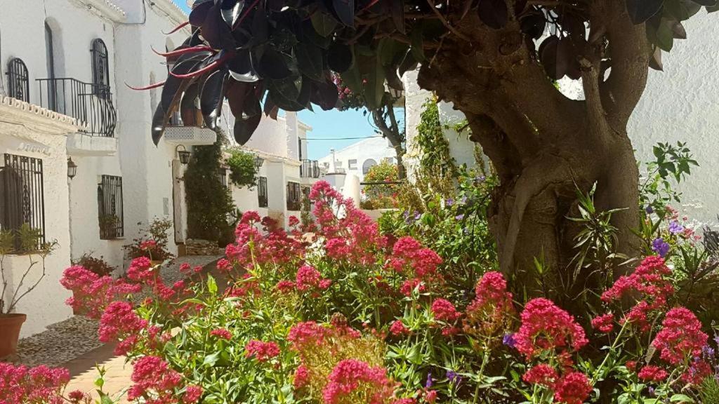 Apartamento Capistrano Village Nerja Dış mekan fotoğraf